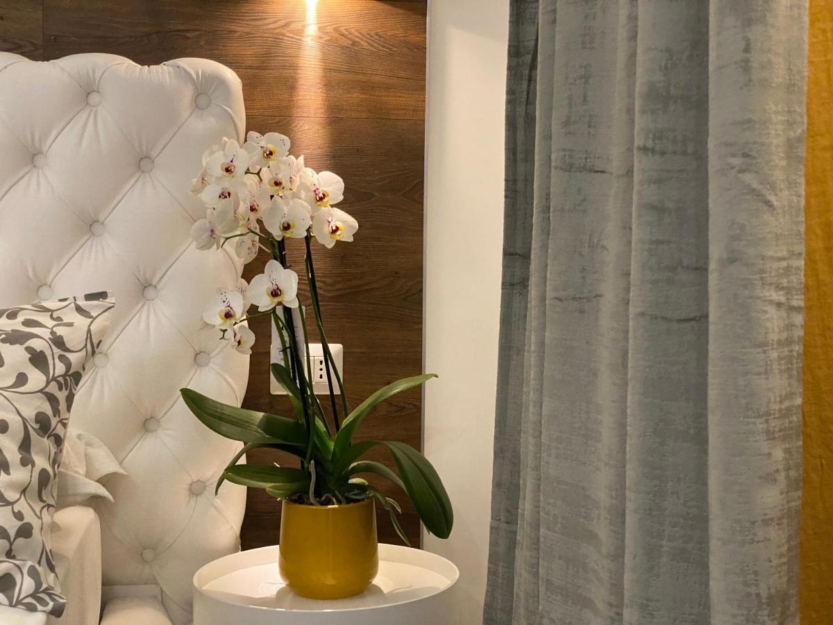 Vatican G&G Suites 罗马 外观 照片